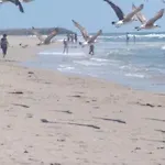 Bela Vista Barrinha Praia de Mira