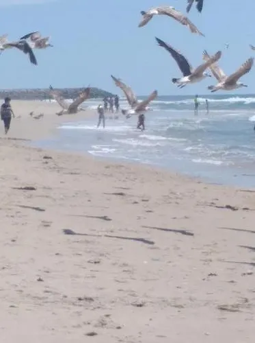 Bela Vista Barrinha Praia de Mira