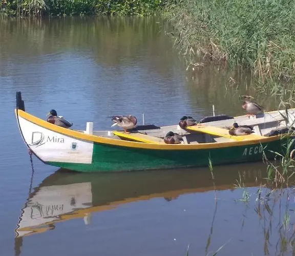 Bela Vista Barrinha Appartement