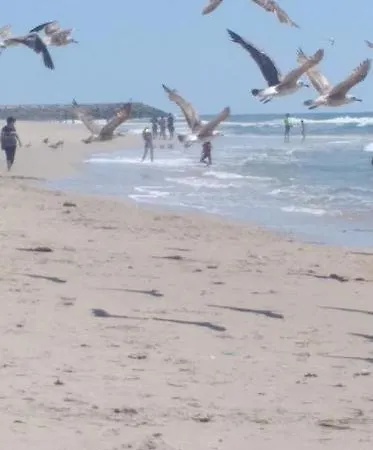 Bela Vista Barrinha Praia de Mira