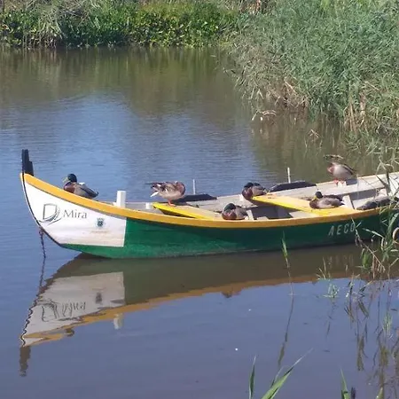 Bela Vista Barrinha Appartement