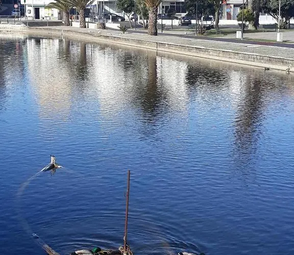 Bela Vista Barrinha Apartman