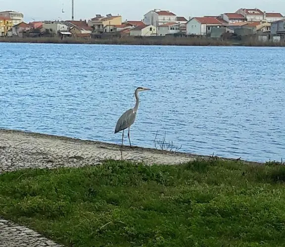 Apartman Bela Vista Barrinha